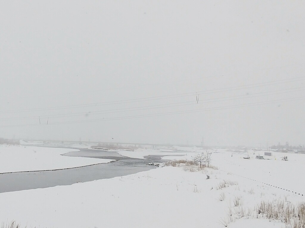 静かな川