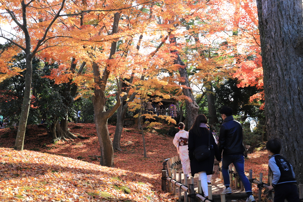 紅葉と心和む人