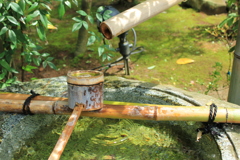 コツン