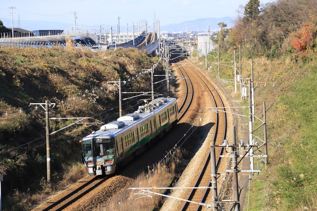 コラボ······なるか?