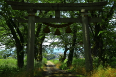 鳥居からの観覧車