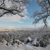 元旦の富山市