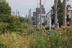 電車がく〜る〜