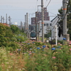 電車がく〜る〜