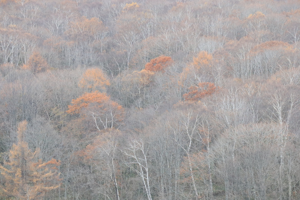 色褪せる山
