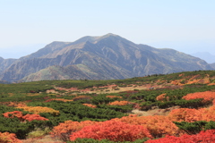 紅葉と別山