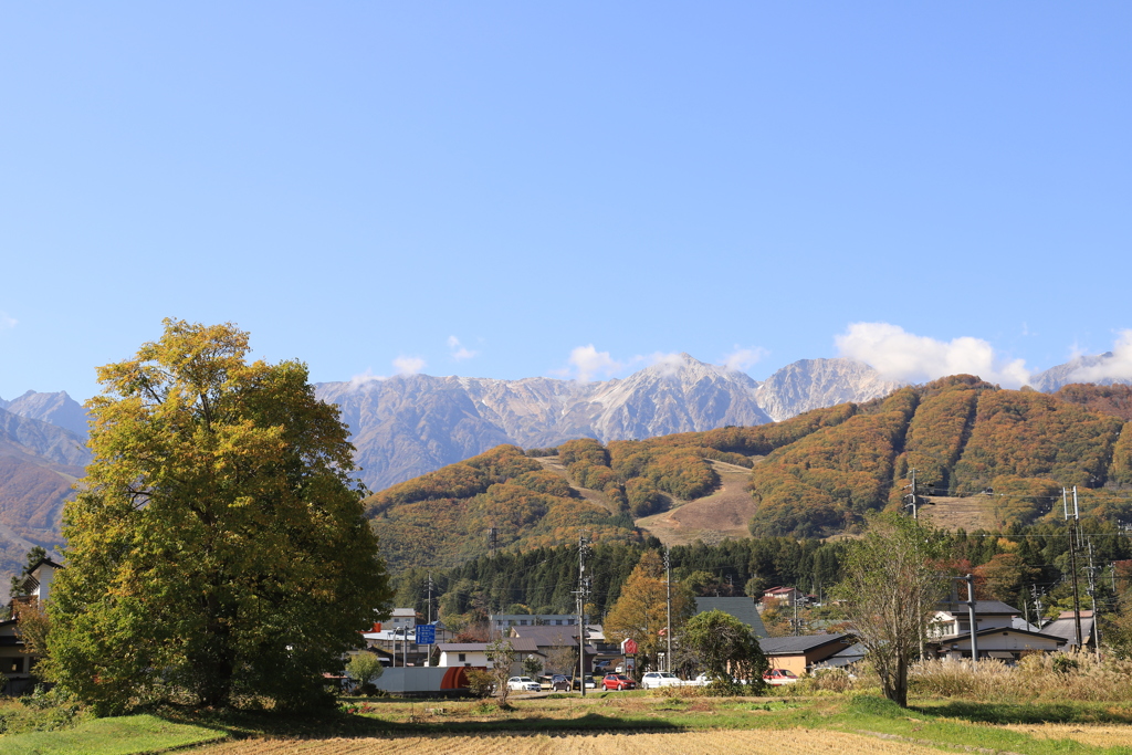 見えるうちに。