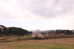 ぽつりと1つ