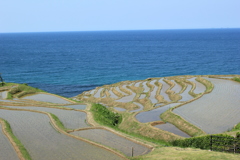 海のきわ