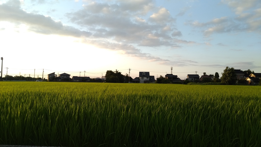 成長したな～