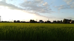 成長したな～