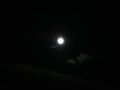 満月顔を出した!