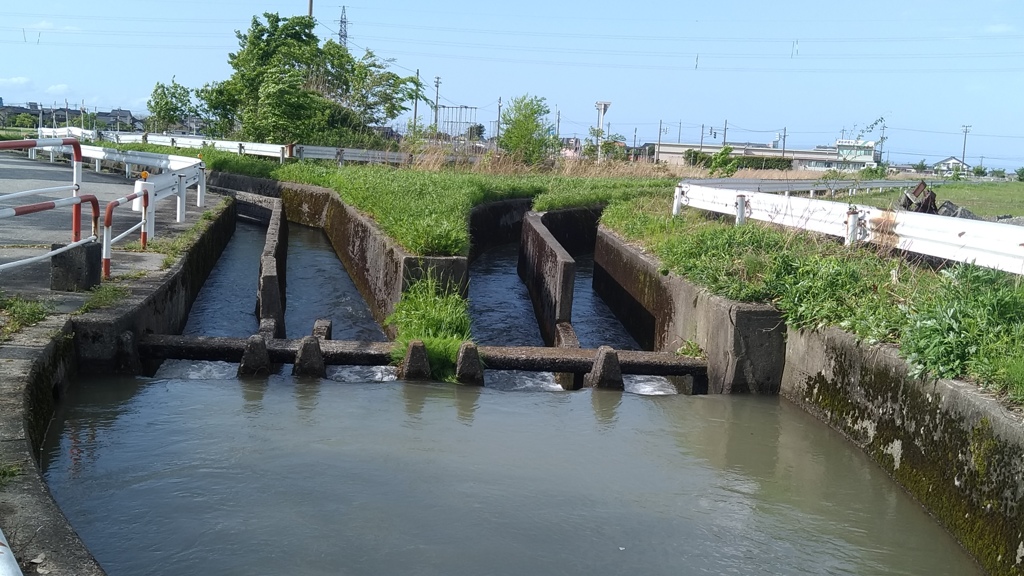 分岐