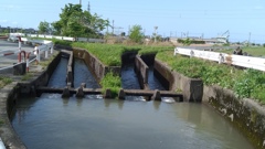 分岐