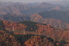 手相のよう