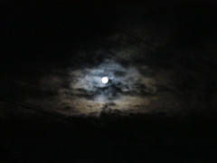 中秋の名月の前日（笑）