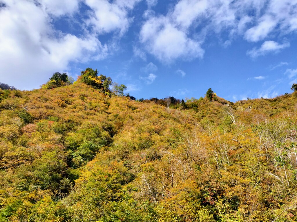 秘境の紅葉