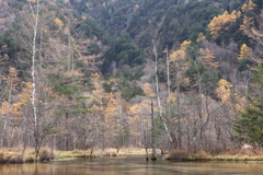 田代池