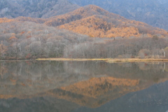 秋深し