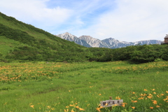 鏡池湿原と白馬三山