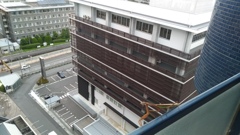 頑張るカマキリくん