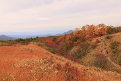 弘法の紅葉