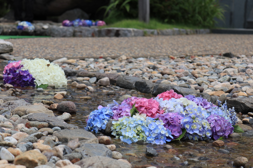 お花の小川