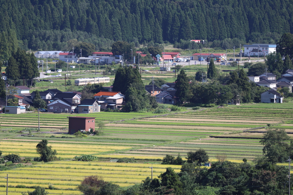 田園を走る