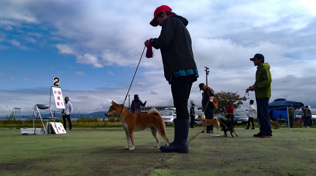 私キレイ?