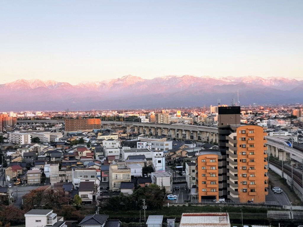 初冠雪