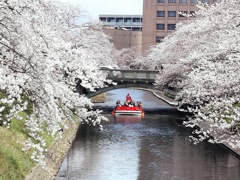 のんびり