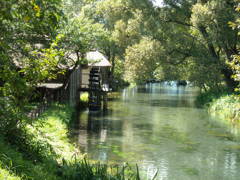 水車と清流