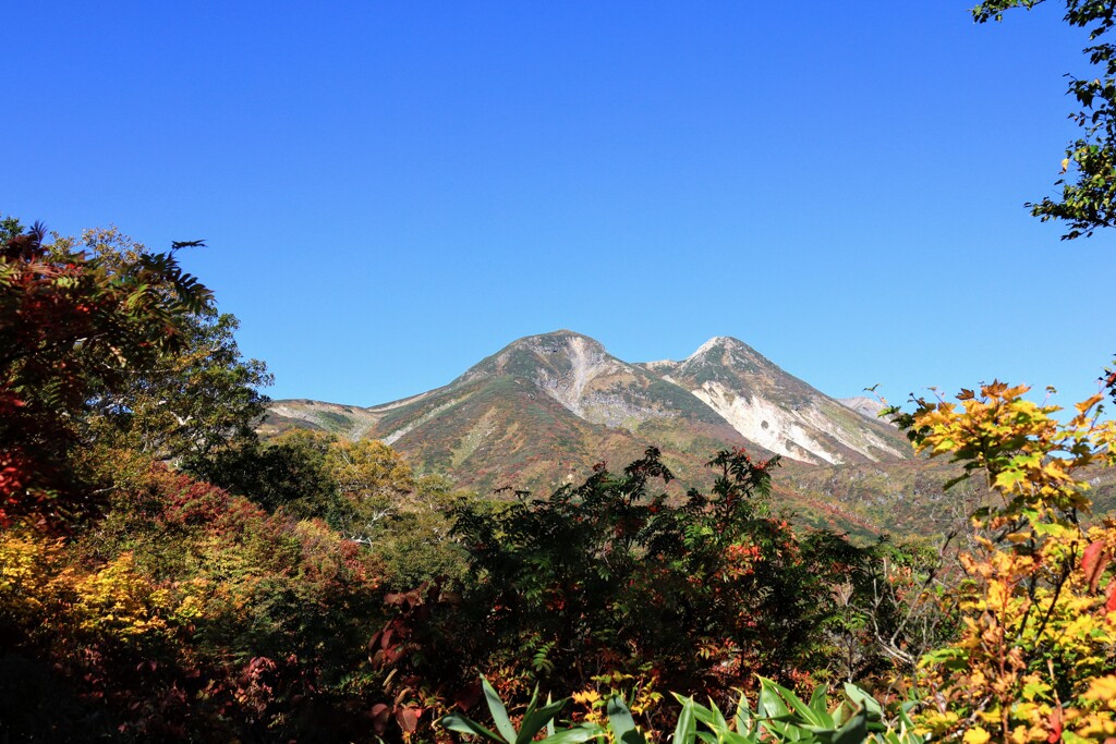 山頂が見えてきた
