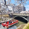 花見日和