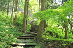 神社までつづく参道