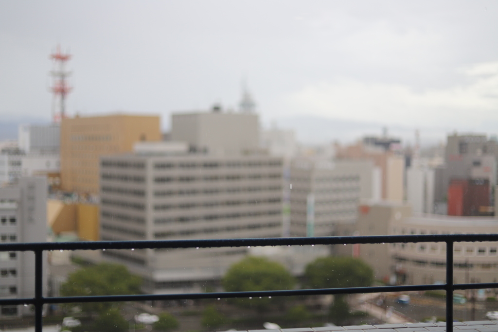 今日は雨☂