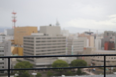 今日は雨☂