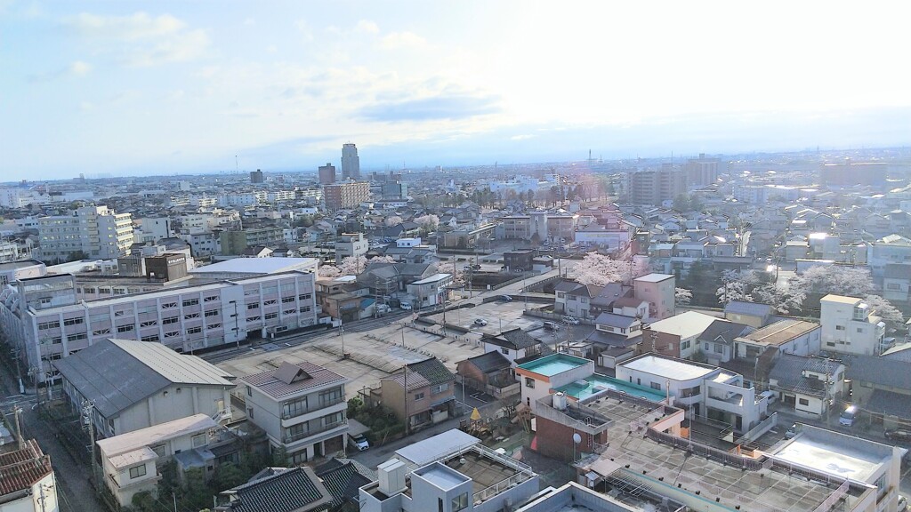 街のさくら