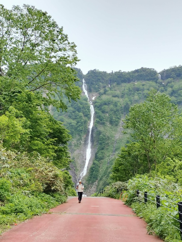ハンノキ滝　500m