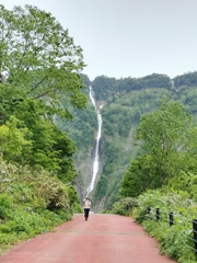 ハンノキ滝　500m