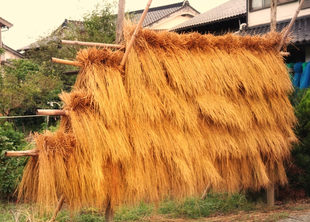 秋の気配