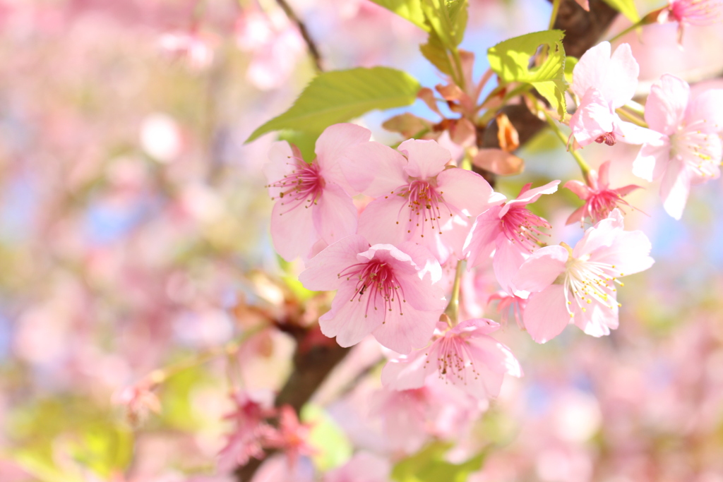 3月