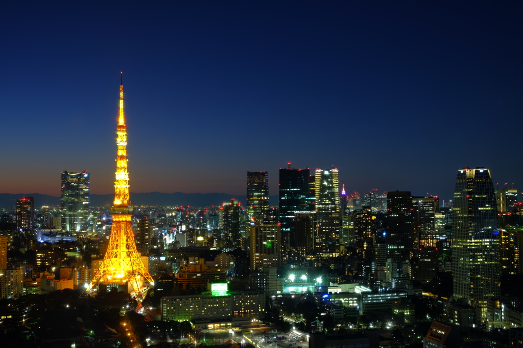 東京タワーと沈んだ夕陽