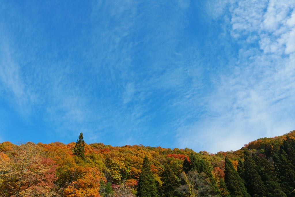 秋空