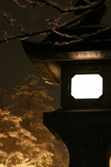 豪