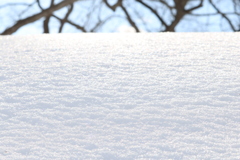 雪