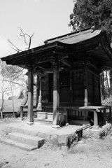 歴史