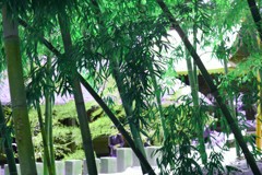 グリーン