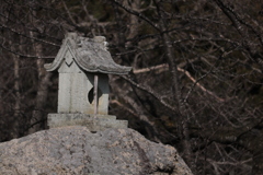 杖