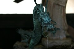 龍